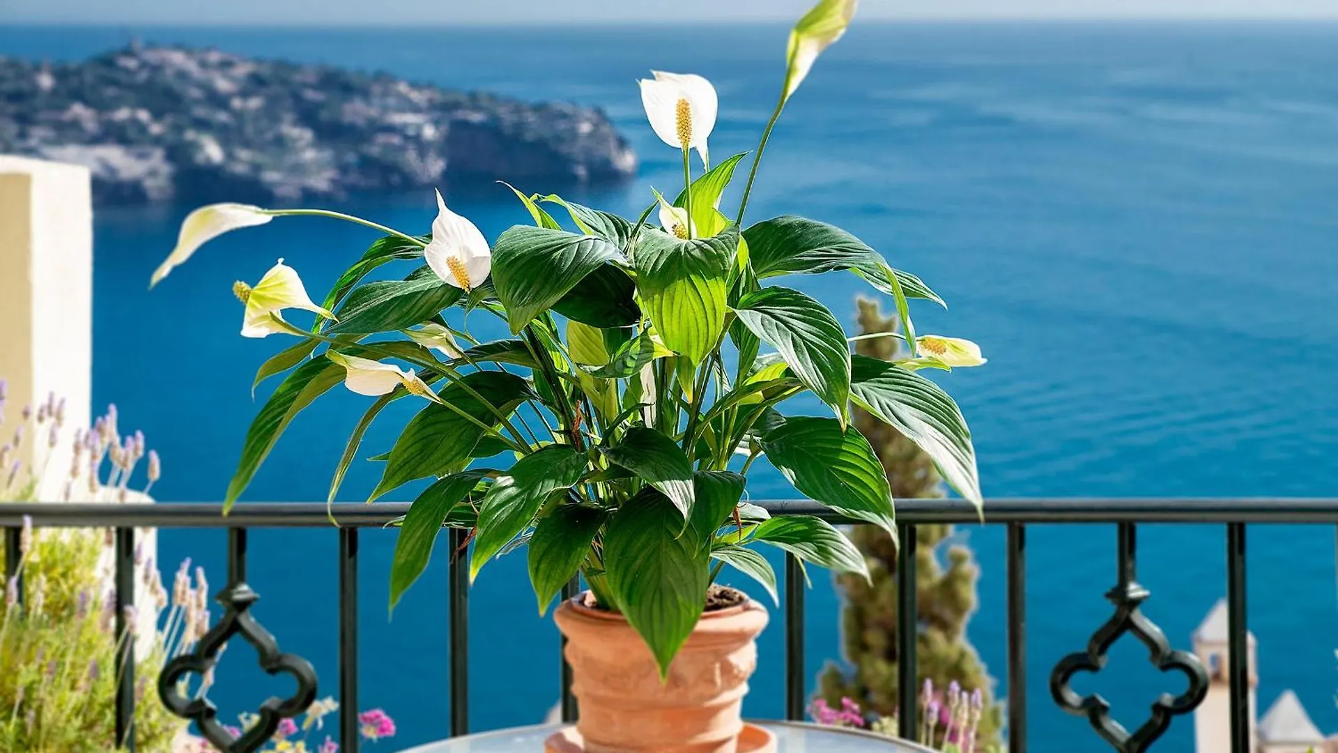 Ferienhaus In Almunecar Mit Terrasse Und Meerblick La Herradura  Holiday home La Herradura (Granada)